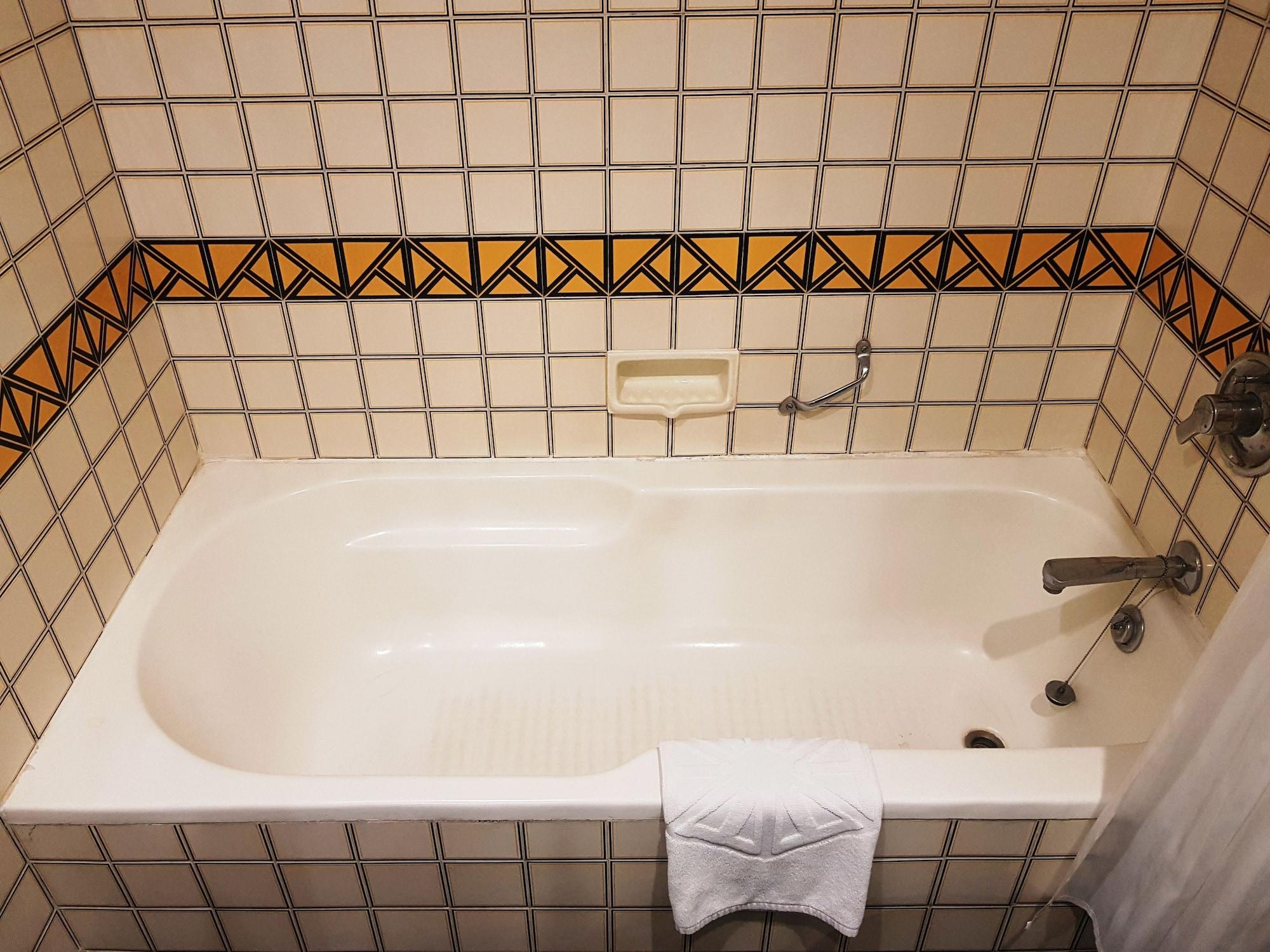 Hotel Taj Banjara Hyderabad Exterior foto A bathtub